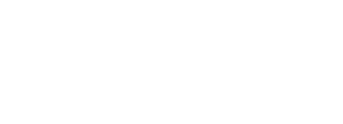 Business Intelligence Review